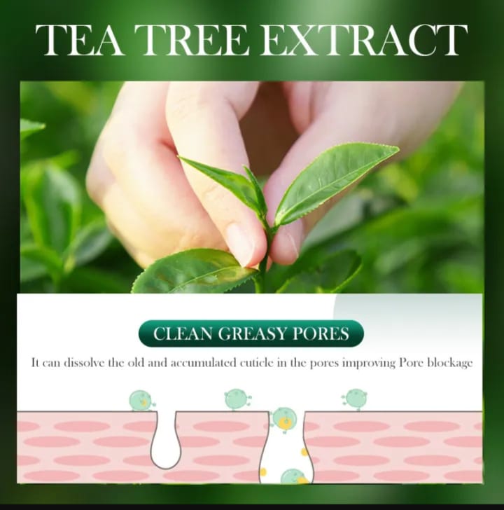 Nicotinamide Tea Tree Essential Oil
